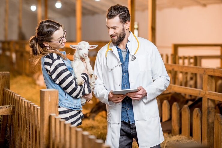 Animal Care